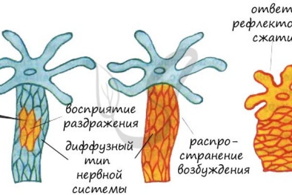 Фишинг на блэк спрут